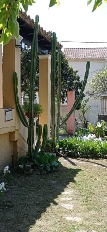Roula'S House Villa Nymfai Екстериор снимка