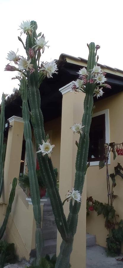 Roula'S House Villa Nymfai Екстериор снимка